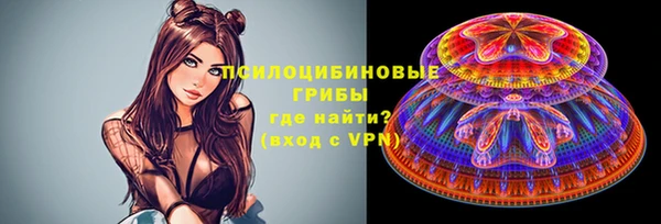 спиды Верея