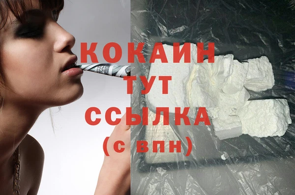 спиды Верея