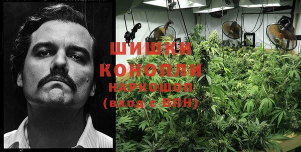 спиды Верея