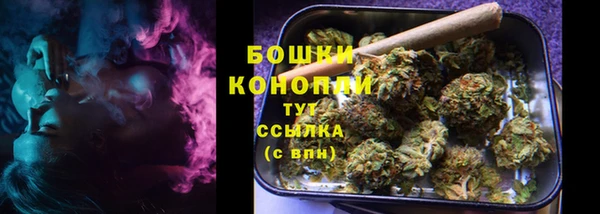 сатива Верхний Тагил